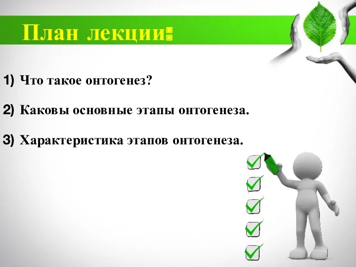 План лекции: Что такое онтогенез? Каковы основные этапы онтогенеза. Характеристика этапов онтогенеза.