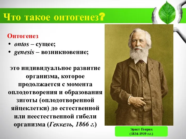 Что такое онтогенез? Онтогенез ontos – сущее; genesis – возникновение;