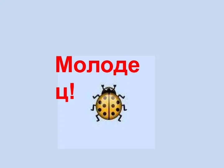 Молодец!