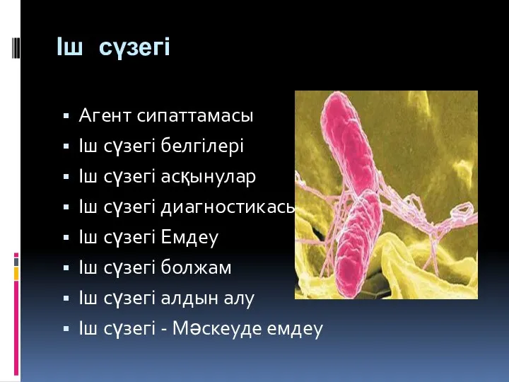 Іш сүзегі Агент сипаттамасы Іш сүзегі белгілері Іш сүзегі асқынулар