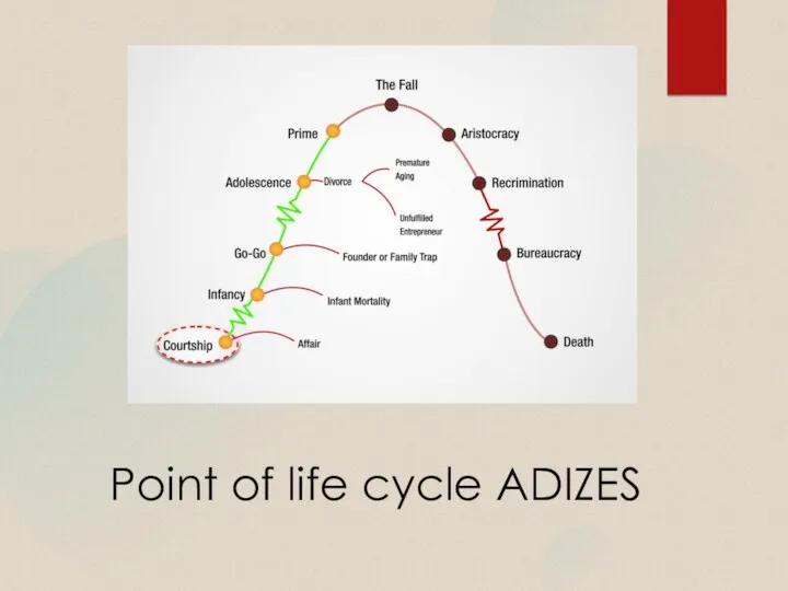 Point of life cycle ADIZES