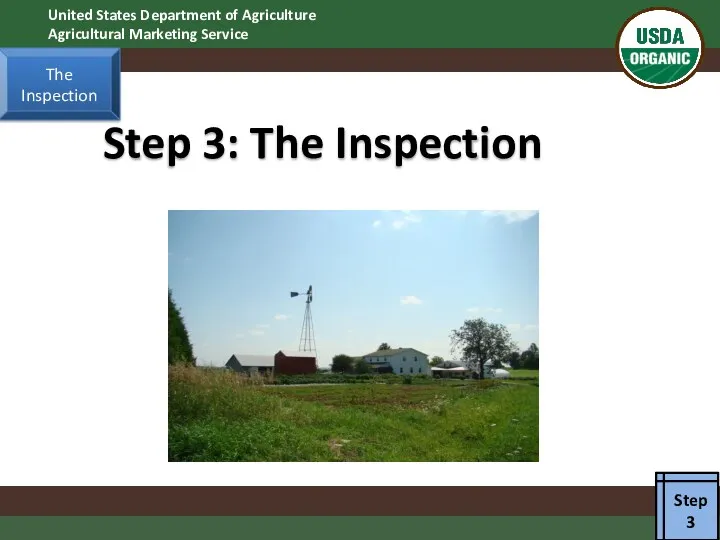 Step 3: The Inspection Step 3 The Inspection