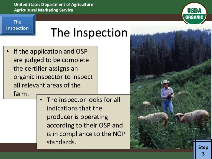 The Inspection If the application and OSP are judged to be complete the