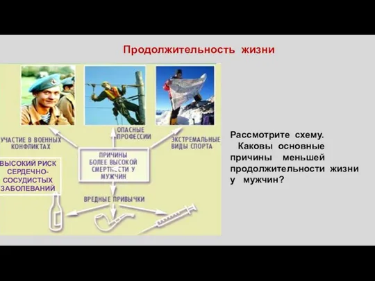 Продолжительность жизни Рассмотрите схему. Каковы основные причины меньшей продолжительности жизни у мужчин? ВЫСОКИЙ РИСК СЕРДЕЧНО-СОСУДИСТЫХ ЗАБОЛЕВАНИЙ