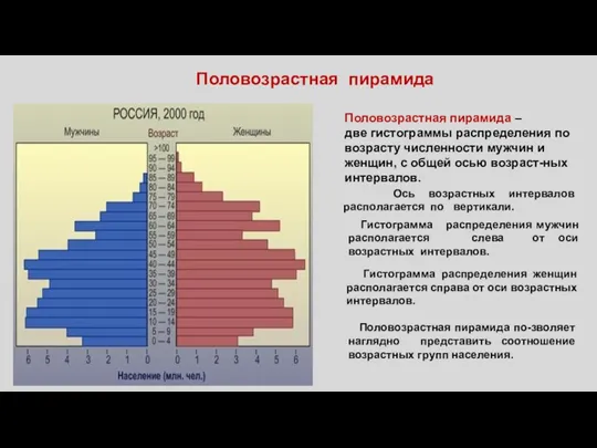 Половозрастная пирамида Половозрастная пирамида по-зволяет наглядно представить соотношение возрастных групп