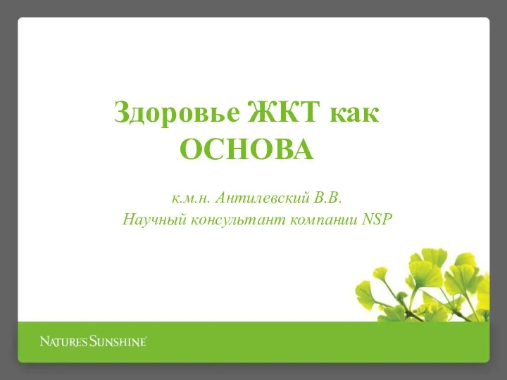 Здоровье ЖКТ как ОСНОВА к.м.н. Антилевский В.В. Научный консультант компании NSP