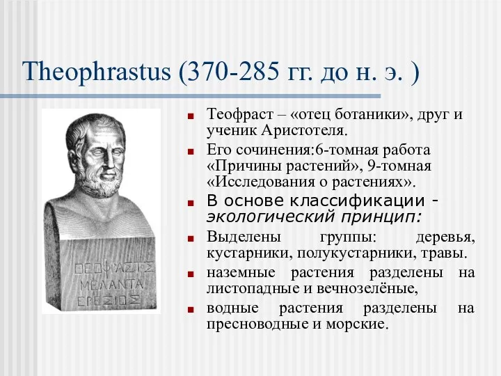 Theophrastus (370-285 гг. до н. э. ) Теофраст – «отец ботаники», друг и