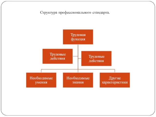 Структура профессионального стандарта.