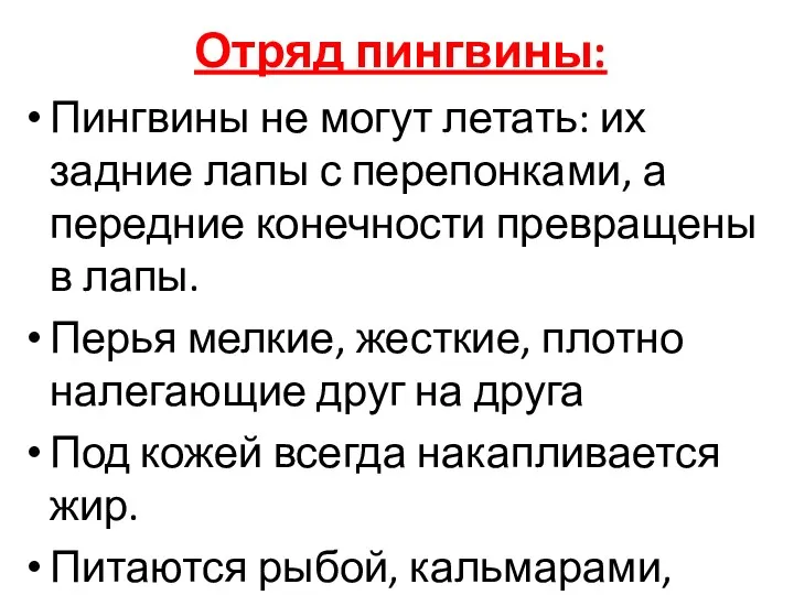 Отряд пингвины: Пингвины не могут летать: их задние лапы с