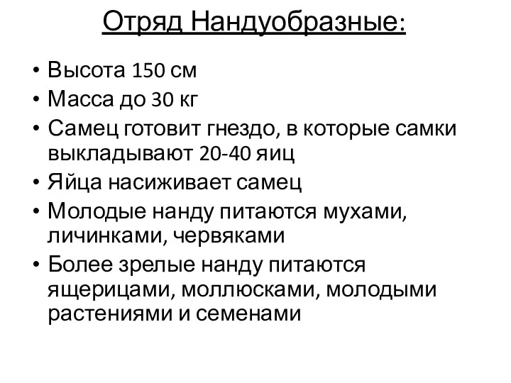 Отряд Нандуобразные: Высота 150 см Масса до 30 кг Самец