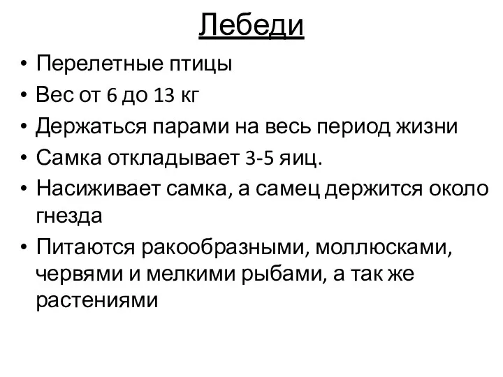 Лебеди Перелетные птицы Вес от 6 до 13 кг Держаться