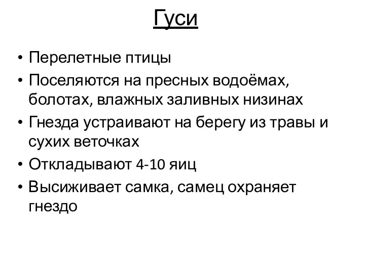 Гуси Перелетные птицы Поселяются на пресных водоёмах, болотах, влажных заливных