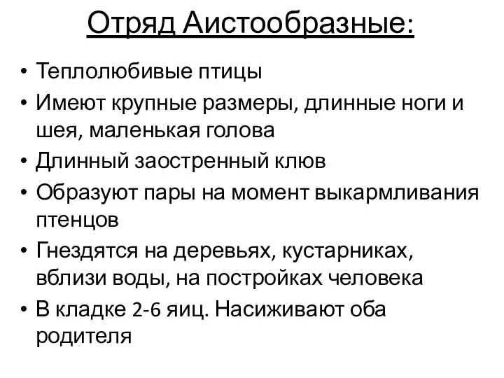 Отряд Аистообразные: Теплолюбивые птицы Имеют крупные размеры, длинные ноги и