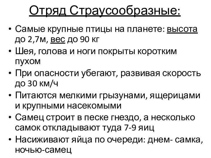 Отряд Страусообразные: Самые крупные птицы на планете: высота до 2,7м,