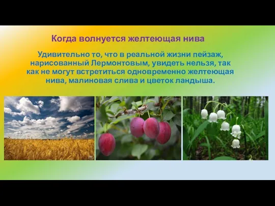 Удивительно то, что в реальной жизни пейзаж, нарисованный Лермонтовым, увидеть