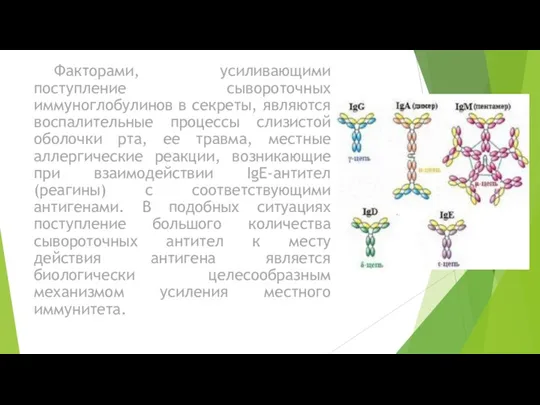 Факторами, усиливающими поступление сывороточных иммуноглобулинов в секреты, являются воспалительные процессы