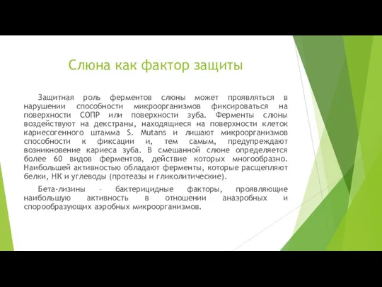 Слюна как фактор защиты Защитная роль ферментов слюны может проявляться