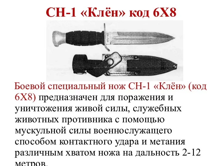 СН-1 «Клён» код 6Х8 Боевой специальный нож СН-1 «Клён» (код