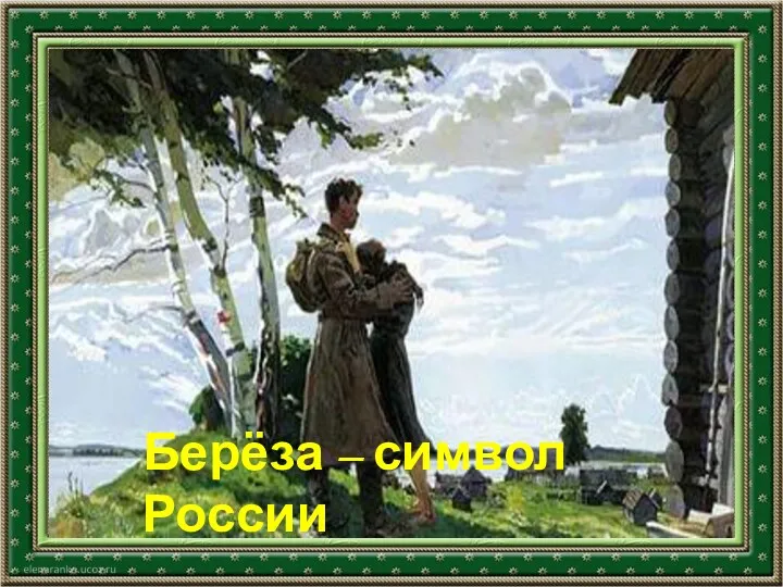 Берёза – символ России