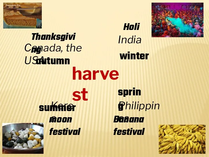 harvest autumn Thanksgiving Canada, the USA winter Holi India Philippines