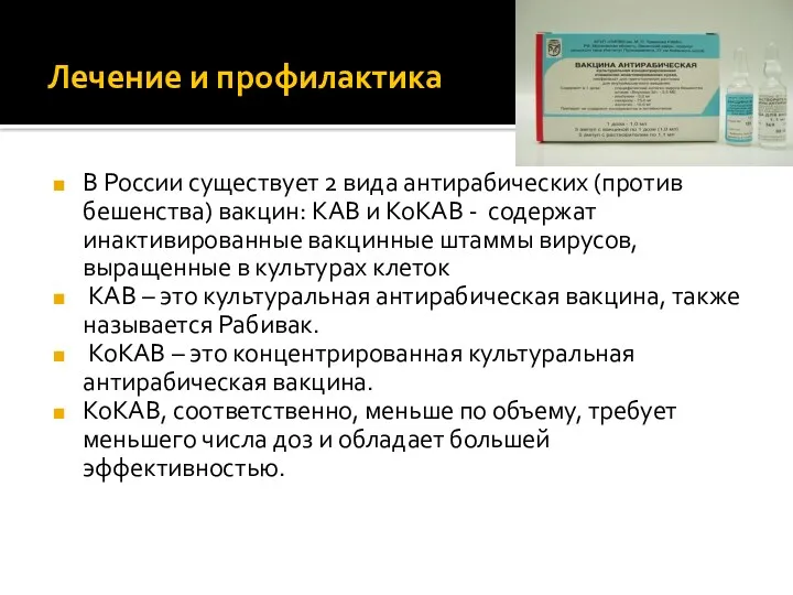 Лечение и профилактика В России существует 2 вида антирабических (против бешенства) вакцин: КАВ