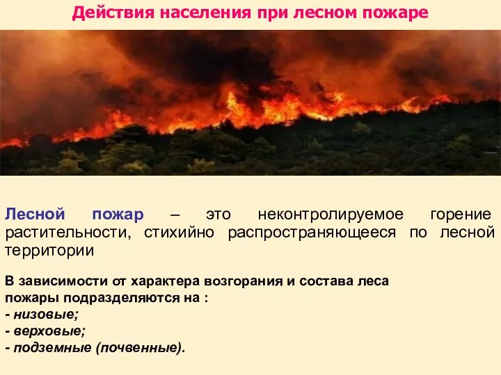 Лесной пожар – это неконтролируемое горение растительности, стихийно распространяющееся по лесной территории В