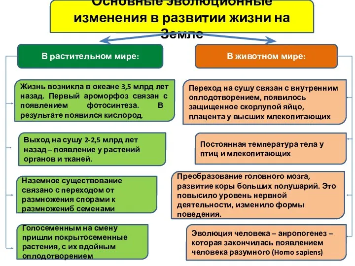 Основные эволюционные изменения в развитии жизни на Земле В растительном