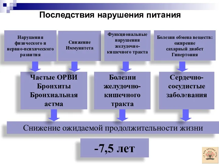 Последствия нарушения питания Снижение Иммунитета Нарушения физического и нервно-психического развития