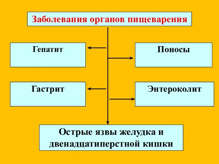 Заболевания органов пищеварения Гепатит Гастрит Поносы Энтероколит Острые язвы желудка и двенадцатиперстной кишки