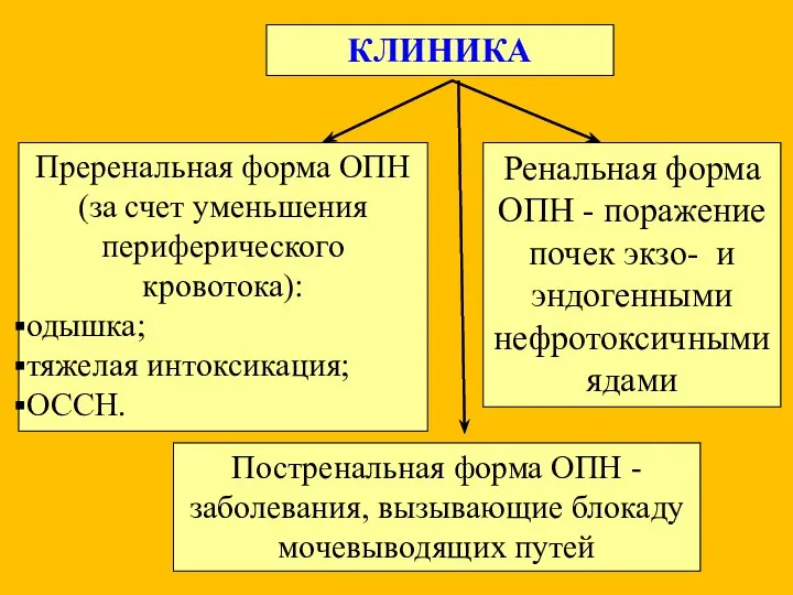 КЛИНИКА Преренальная форма ОПН (за счет уменьшения периферического кровотока): одышка;