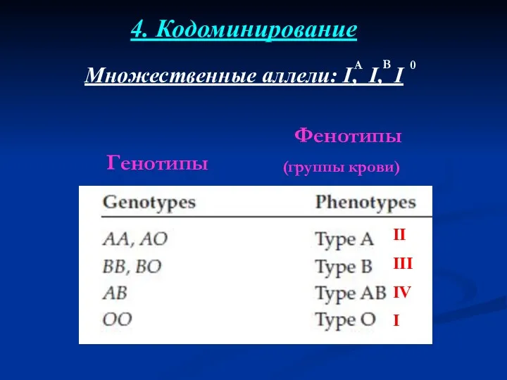 Множественные аллели: I, I, I 4. Кодоминирование Генотипы Фенотипы (группы