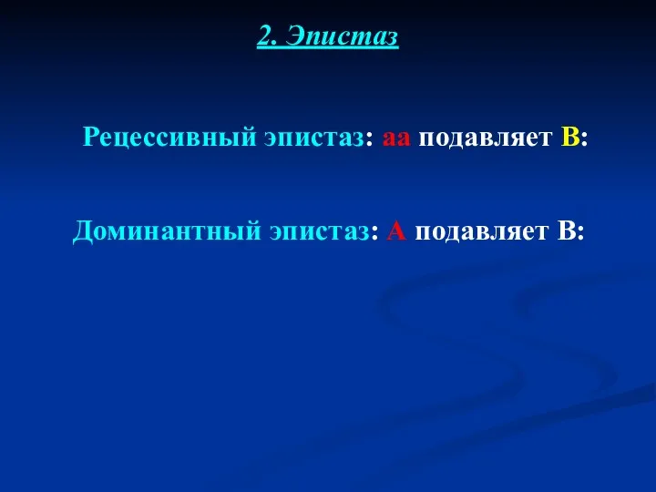 Рецессивный эпистаз: аа подавляет В: Доминантный эпистаз: А подавляет В: 2. Эпистаз