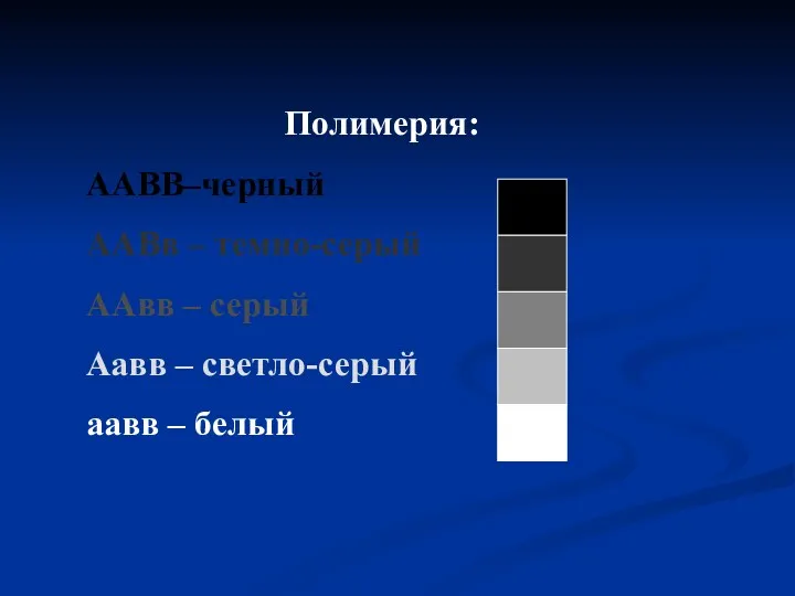 Полимерия: AАВВ–черный ААВв – темно-серый ААвв – серый Аавв – светло-серый аавв – белый