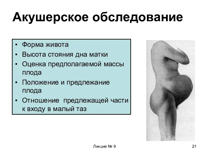 Лекция № 9 Акушерское обследование Форма живота Высота стояния дна