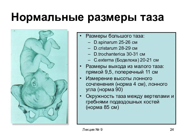 Лекция № 9 Нормальные размеры таза Размеры большого таза: D.spinarum