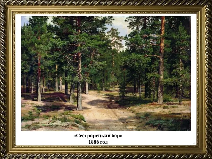 «Сестрорецкий бор» 1886 год