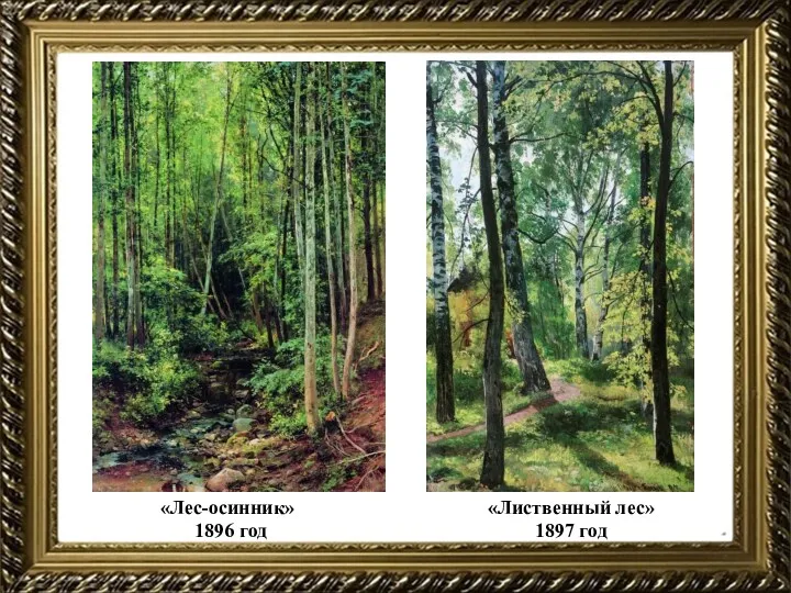 «Лес-осинник» 1896 год «Лиственный лес» 1897 год