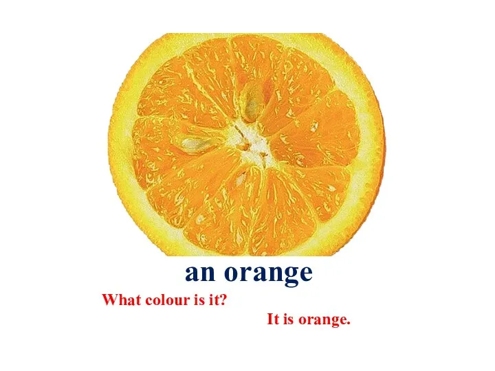 an orange What colour is it? It is orange.