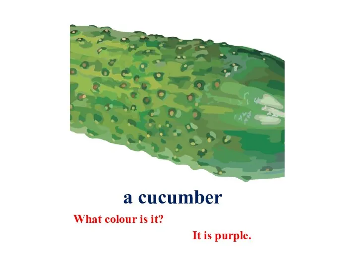 a cucumber What colour is it? It is purple.