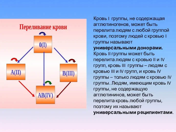 Кровь I группы, не содержащая агглютиногенов, может быть перелита людям