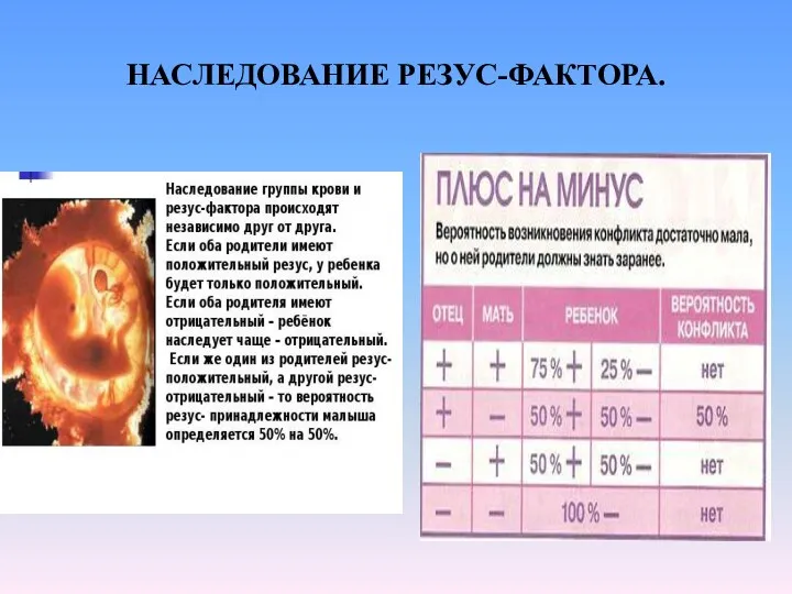 НАСЛЕДОВАНИЕ РЕЗУС-ФАКТОРА.