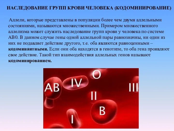 НАСЛЕДОВАНИЕ ГРУПП КРОВИ ЧЕЛОВЕКА (КОДОМИНИРОВАНИЕ) Аллели, которые представлены в популяции