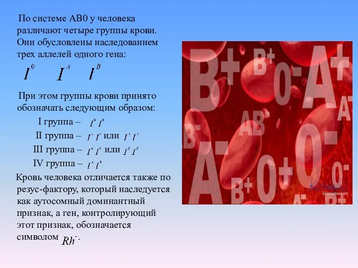 По системе АВ0 у человека различают четыре группы крови. Они