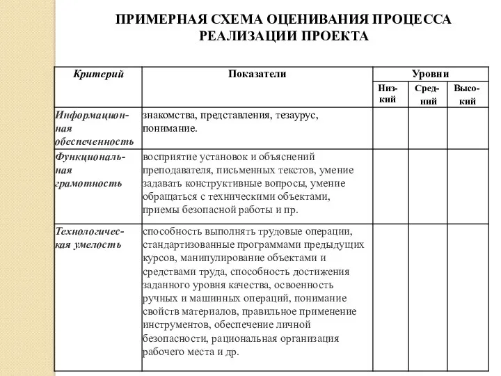 ПРИМЕРНАЯ СХЕМА ОЦЕНИВАНИЯ ПРОЦЕССА РЕАЛИЗАЦИИ ПРОЕКТА