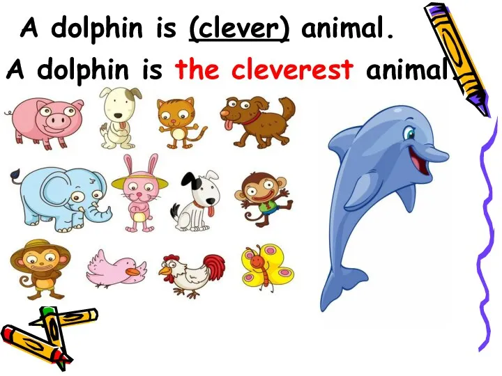 A dolphin is (clever) animal. A dolphin is the cleverest animal.