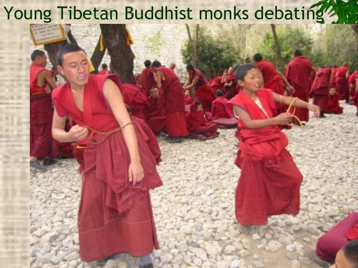 Young Tibetan Buddhist monks debating