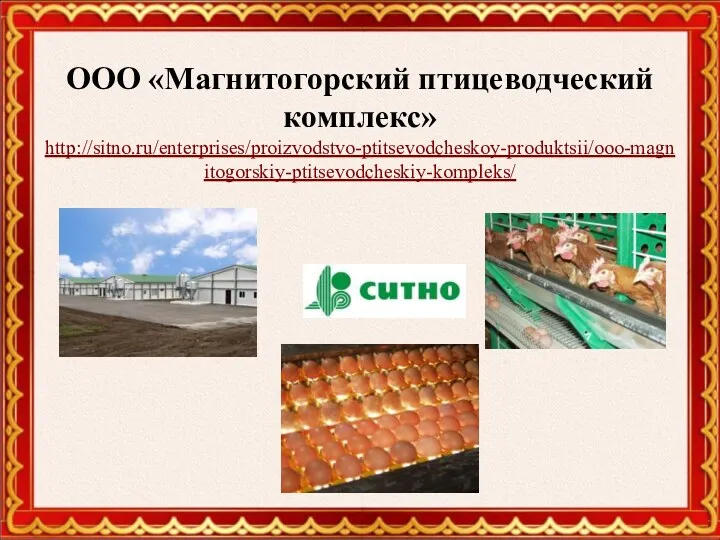 ООО «Магнитогорский птицеводческий комплекс» http://sitno.ru/enterprises/proizvodstvo-ptitsevodcheskoy-produktsii/ooo-magnitogorskiy-ptitsevodcheskiy-kompleks/