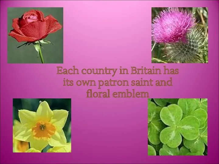 Each country in Britain has its own patron saint and floral emblem