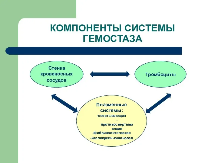 КОМПОНЕНТЫ СИСТЕМЫ ГЕМОСТАЗА