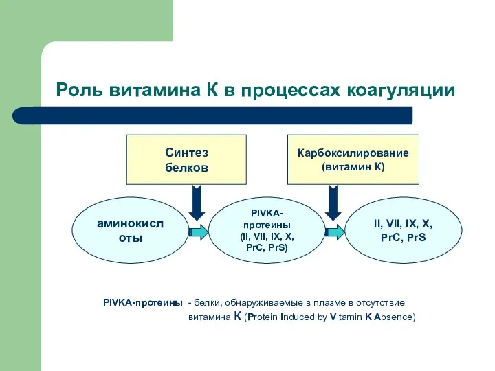 Роль витамина К в процессах коагуляции PIVKA-протеины (II, VII, IX,